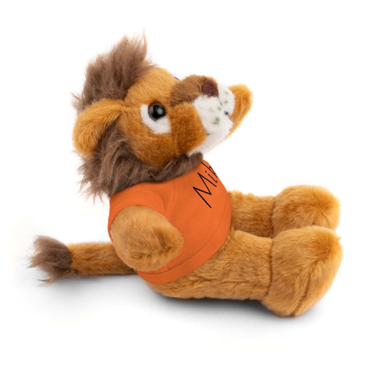 Peluche personnalisable