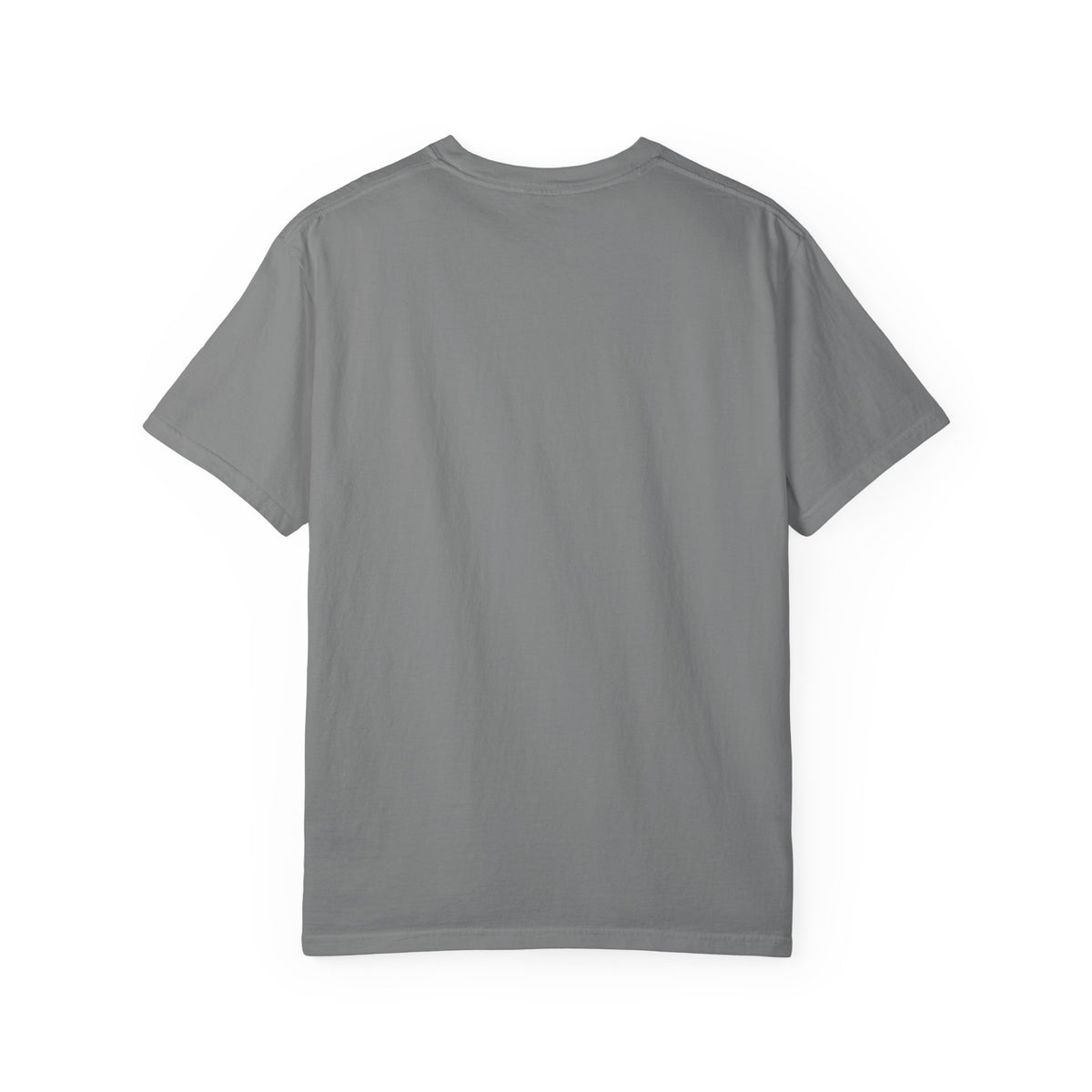 Pau France Coordinates T-Shirt — Minimal Mountain Graphic Travel Tee