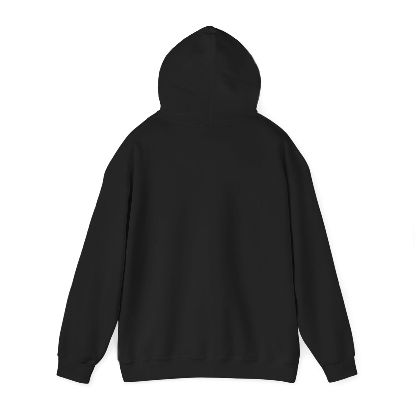 Geneva Coordinates Hoodie — Minimal City Latitude/Longitude Sweatshirt
