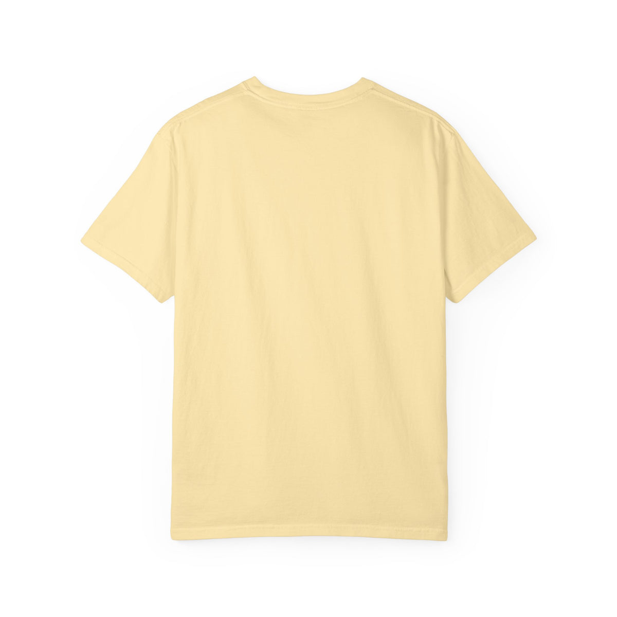 Pau France Coordinates T-Shirt — Minimal Mountain Graphic Travel Tee