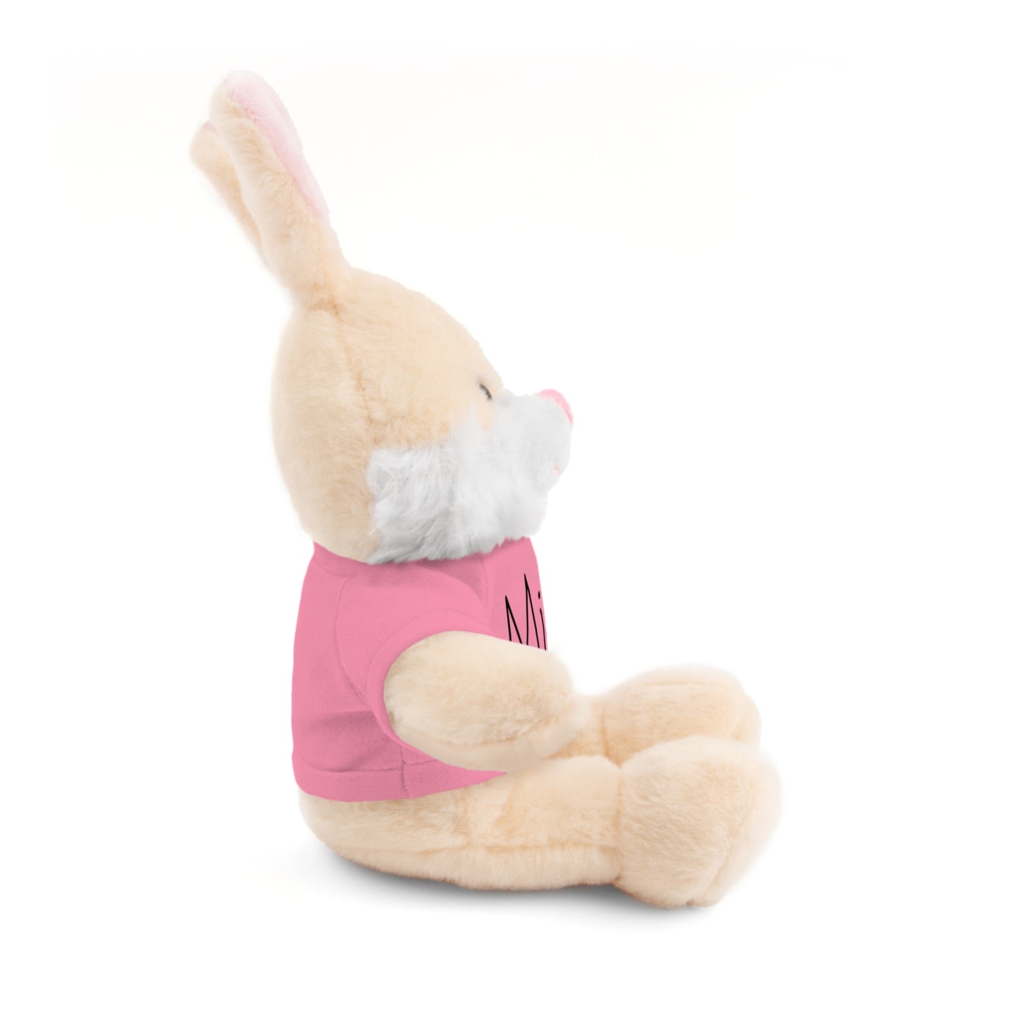 Peluche personnalisable