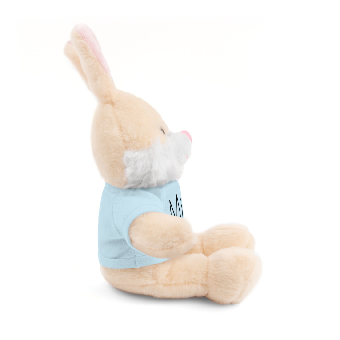 Peluche personnalisable