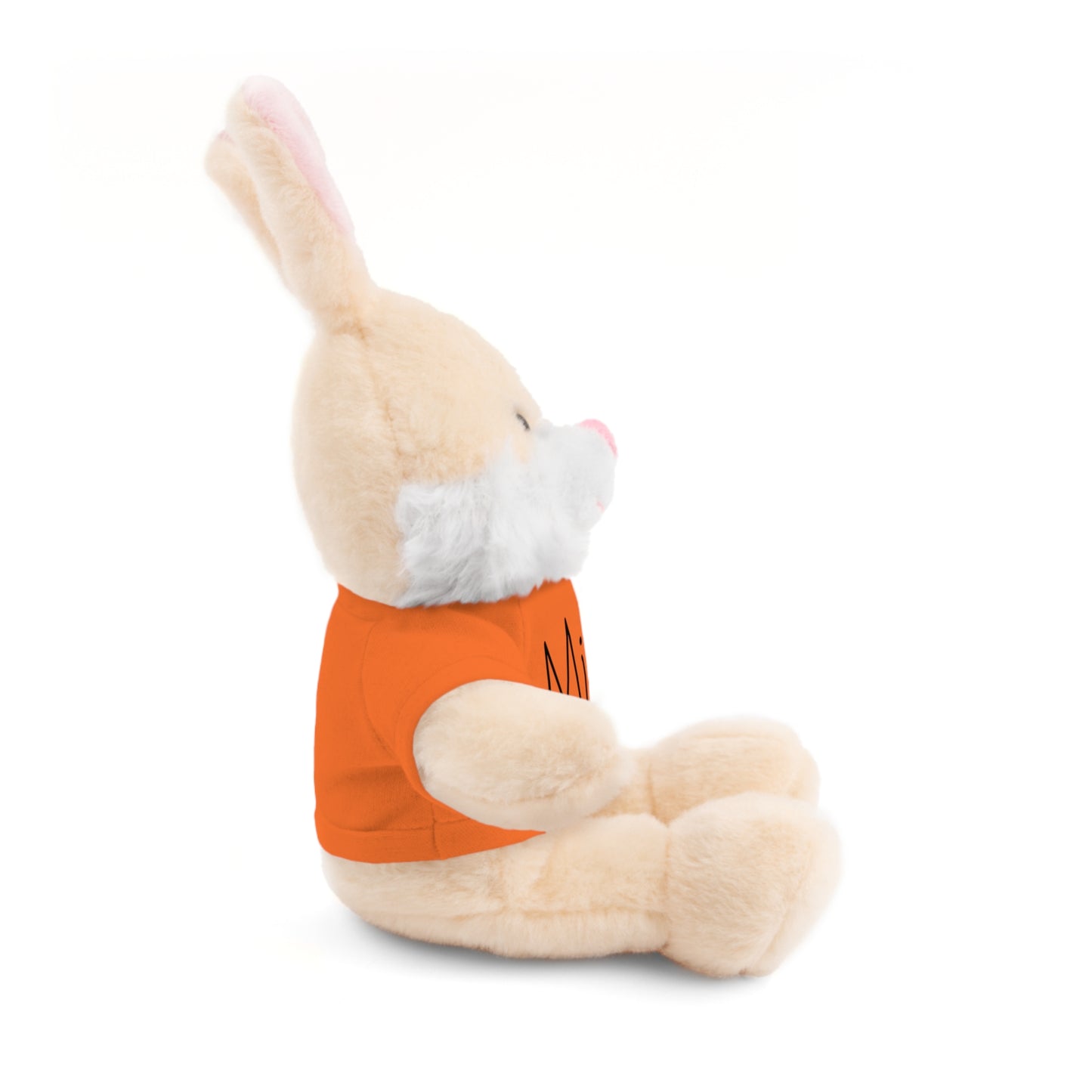 Peluche personnalisable