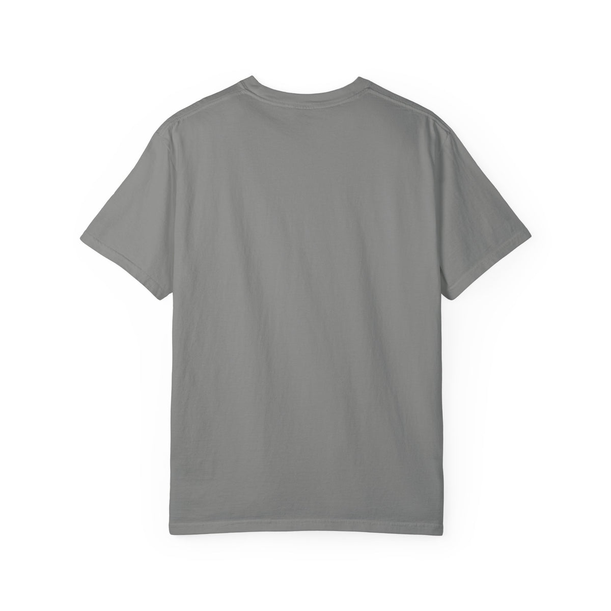 Pau France Coordinates T-Shirt — Minimal Mountain Graphic Travel Tee