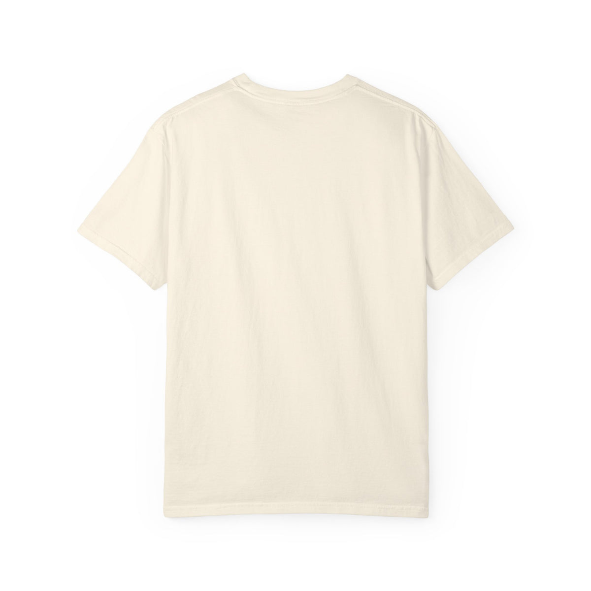 Pau France Coordinates T-Shirt — Minimal Mountain Graphic Travel Tee